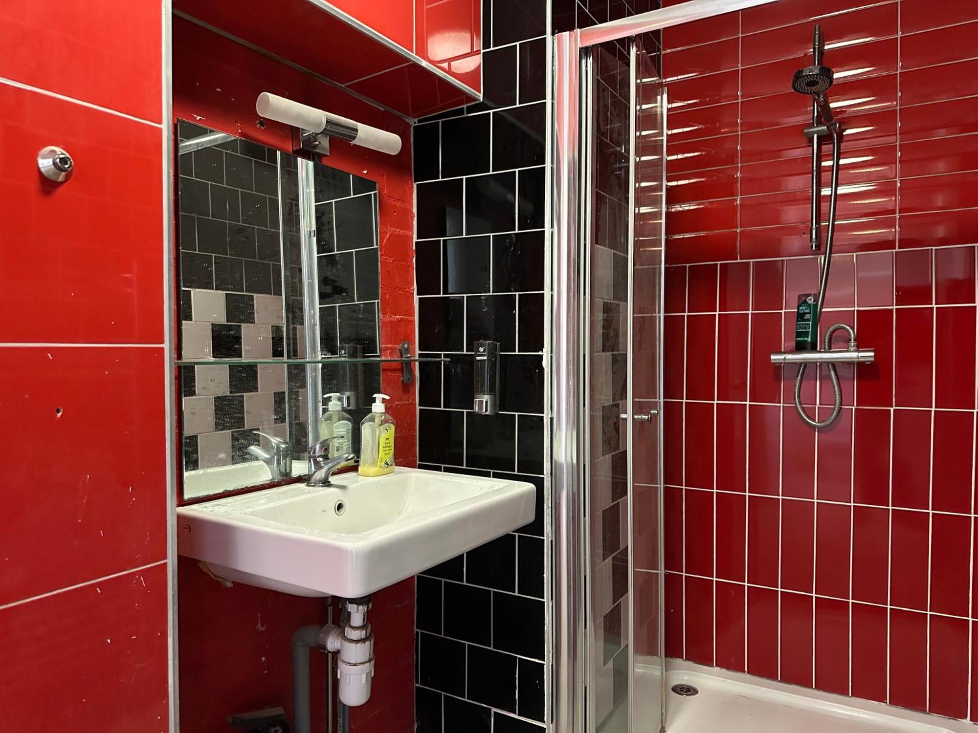 Bright Large Double Bedroom Flat Londra